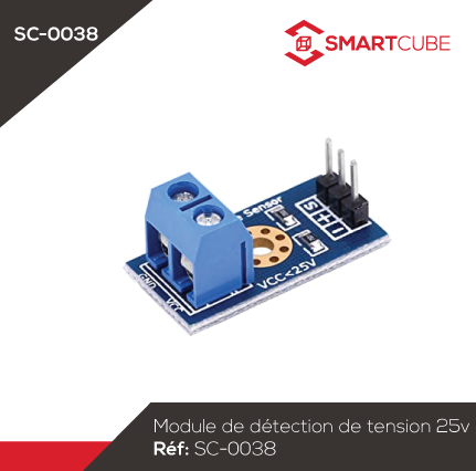 Module De Détection De Tension DC 0-99.9V | Relais 12A | Protection Surtension/Sous-tension