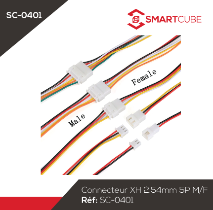 Cable connecteur XH 2.54mm 5P mâle et femelle – SMART CUBE