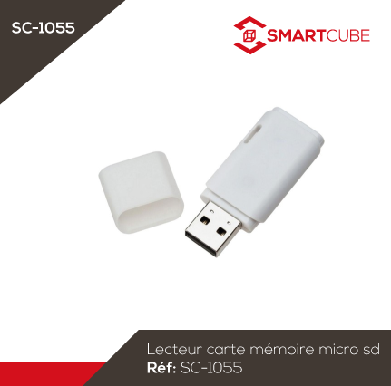 Lecteur carte mémoire micro sd – SMART CUBE